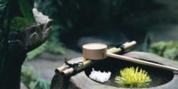 白居易这首诗太励志了，生命的意义在于拓宽生命的宽度